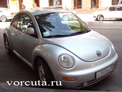 Volkswagen New Beetle (  )
