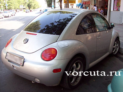 Volkswagen New Beetle (  )